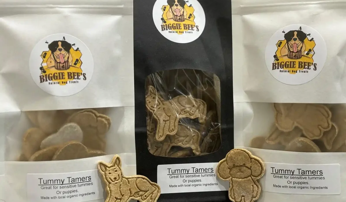 Can Dogs Eat Spices