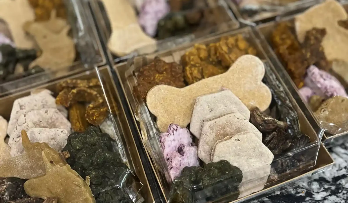 Dog Lick Mat Recipe Ideas