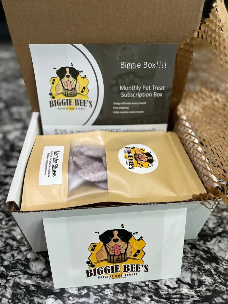 biggie bees subcription