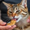 Can Cats Eat Peanut Butter