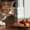 Can Cats Eat Chicken