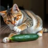 Can Cats Eat Cucumber
